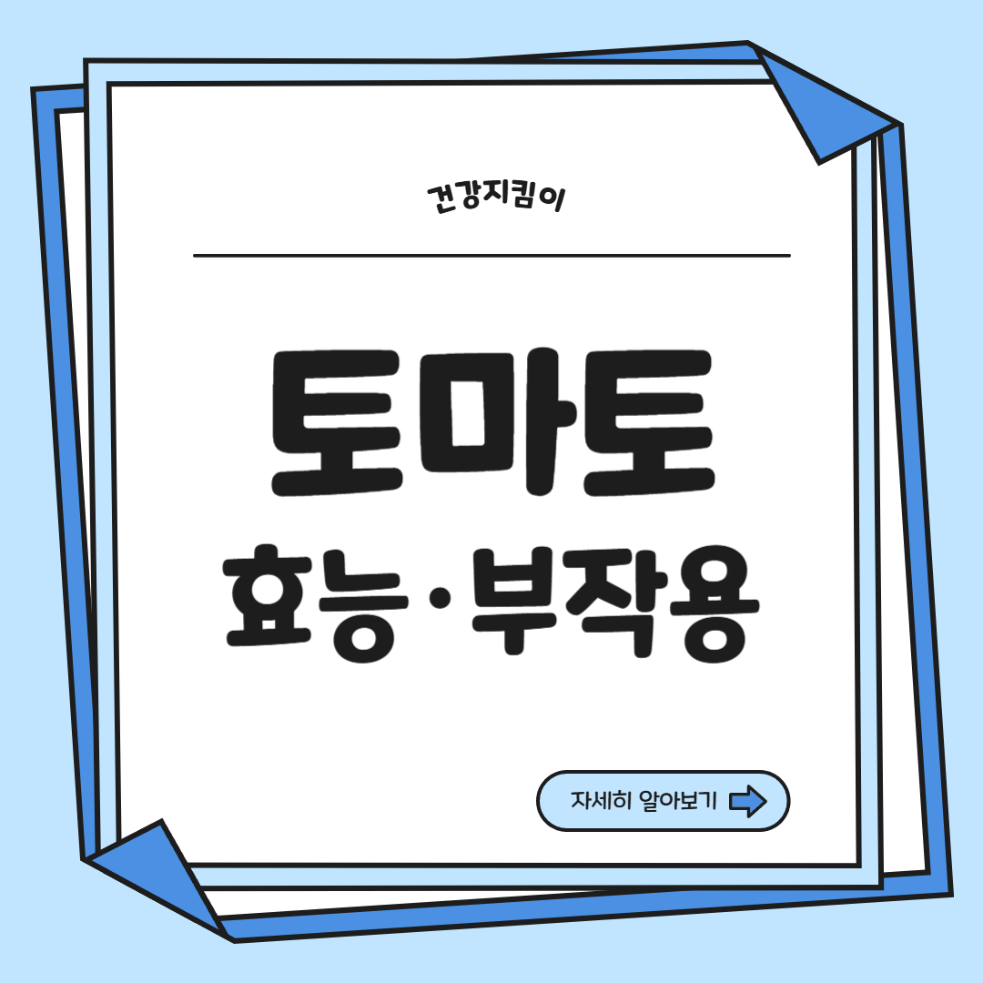 토마토 효능 부작용 고르는법 칼로리