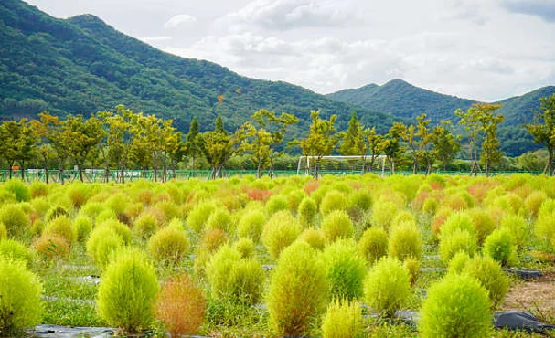 황산공원