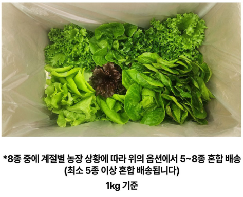 6시내고향 유럽쌈채소 경남 밀양 밀양상회