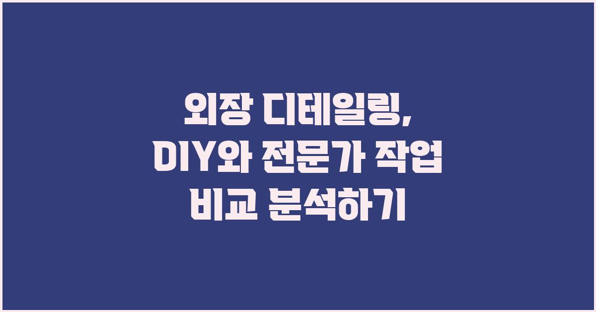 외장 디테일링, DIY vs 전문가 비교