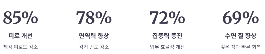 자양강장제의 주요 효과