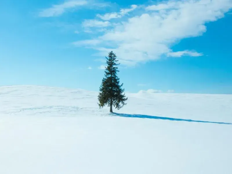 삿포로 날씨 여행 삿포로 지도 꿀팁 정리_6