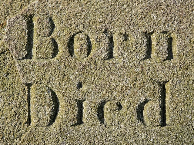 심해 생물의 수명은 일반 생물보다 긴가