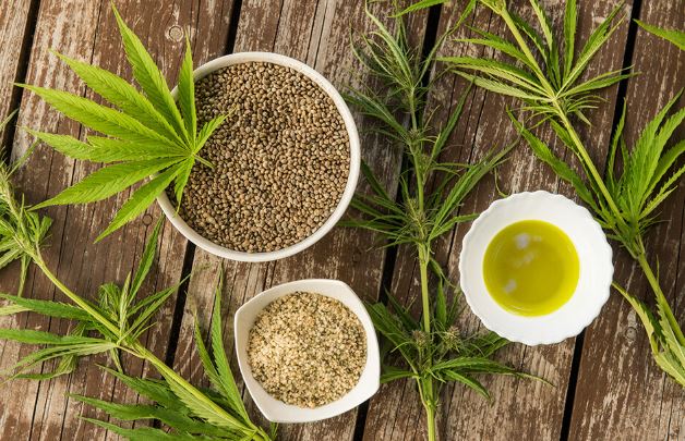 대마-종자유-효능