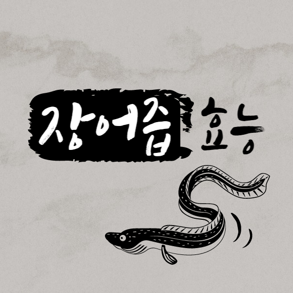 장어즙 효능 알아보고 드세요!