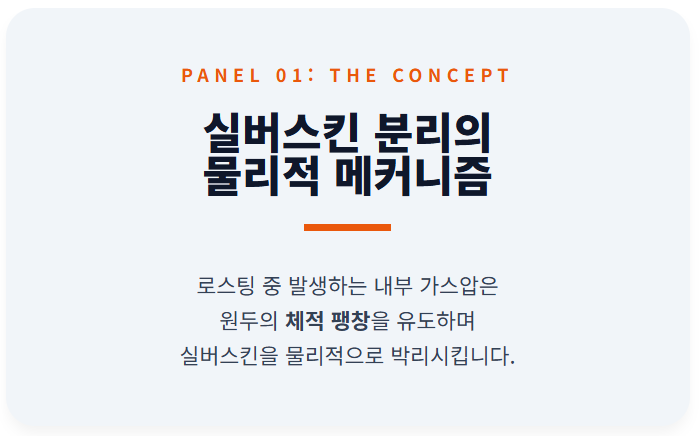 로스팅 과정에서 발생하는 실버스킨 박리의 핵심 원리를 설명하는 도입부 이미지. 원두 내부의 가스 압력이 외부 대기압을 압도하며 발생하는 체적 팽창이 실버스킨을 본체로부터 물리적으로 밀어내는 열역학적 메커니즘을 시각화함.