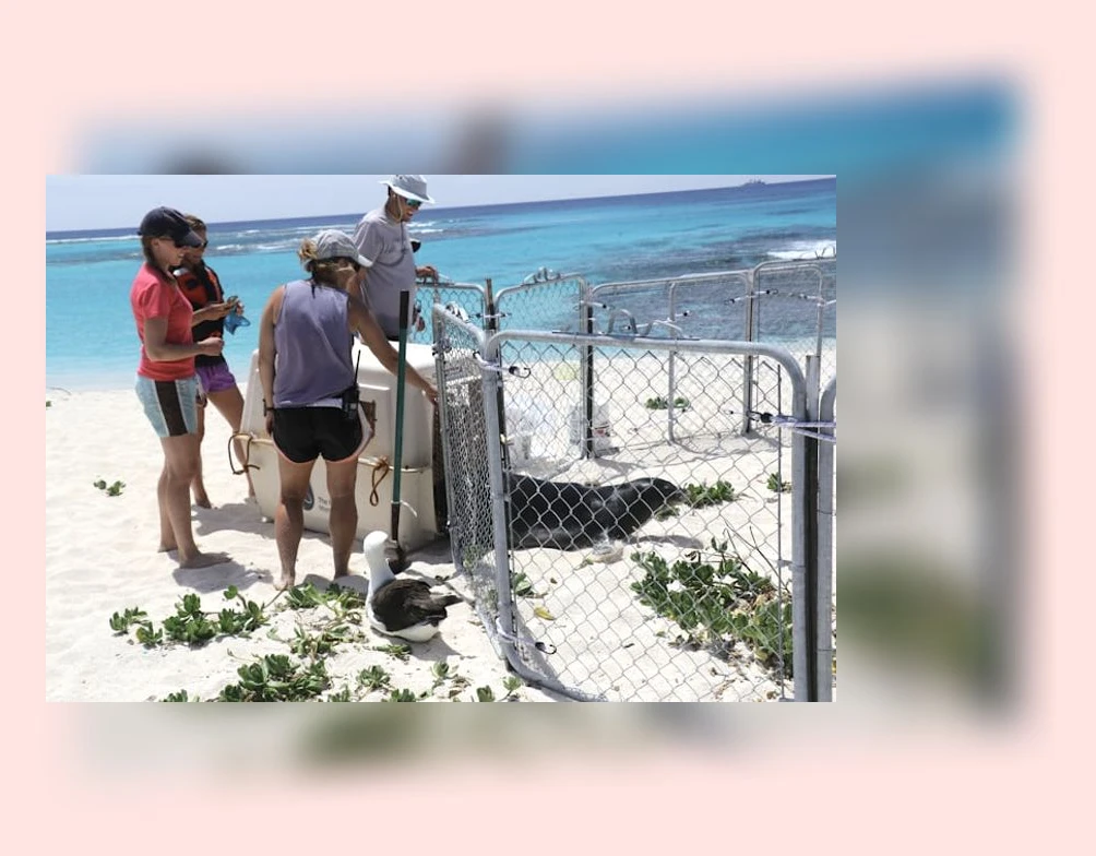 스마일라식 회복_3_subsection