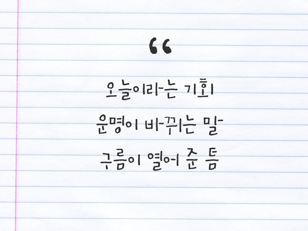 2026년 2월 25일 피어나네 감사노트|일상을 행복으로 바꾸는 기록 하루 3줄 감사일기