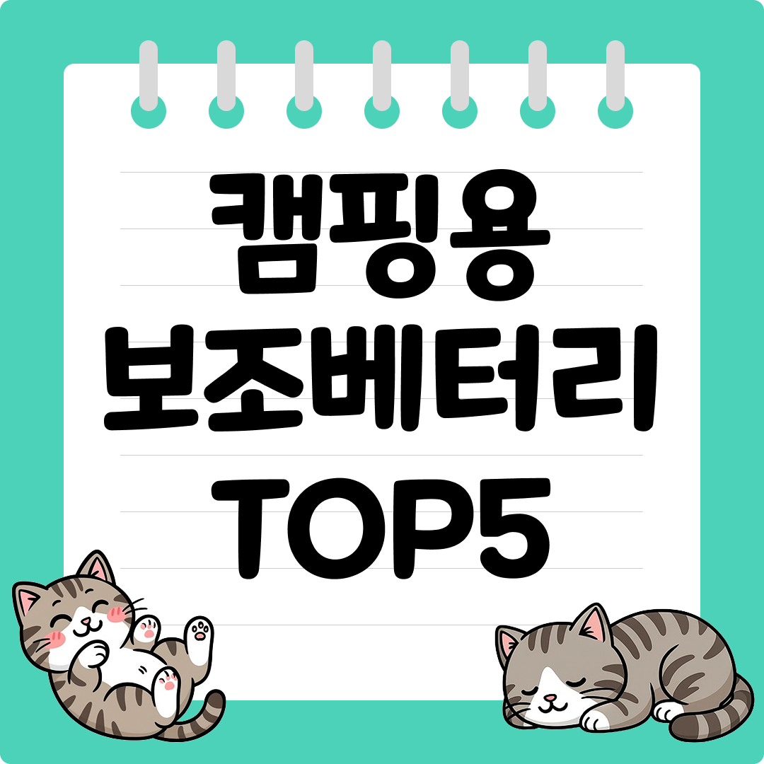 차박 가능한 대용량 캠핑용 보조배터리 추천 순위 TOP5