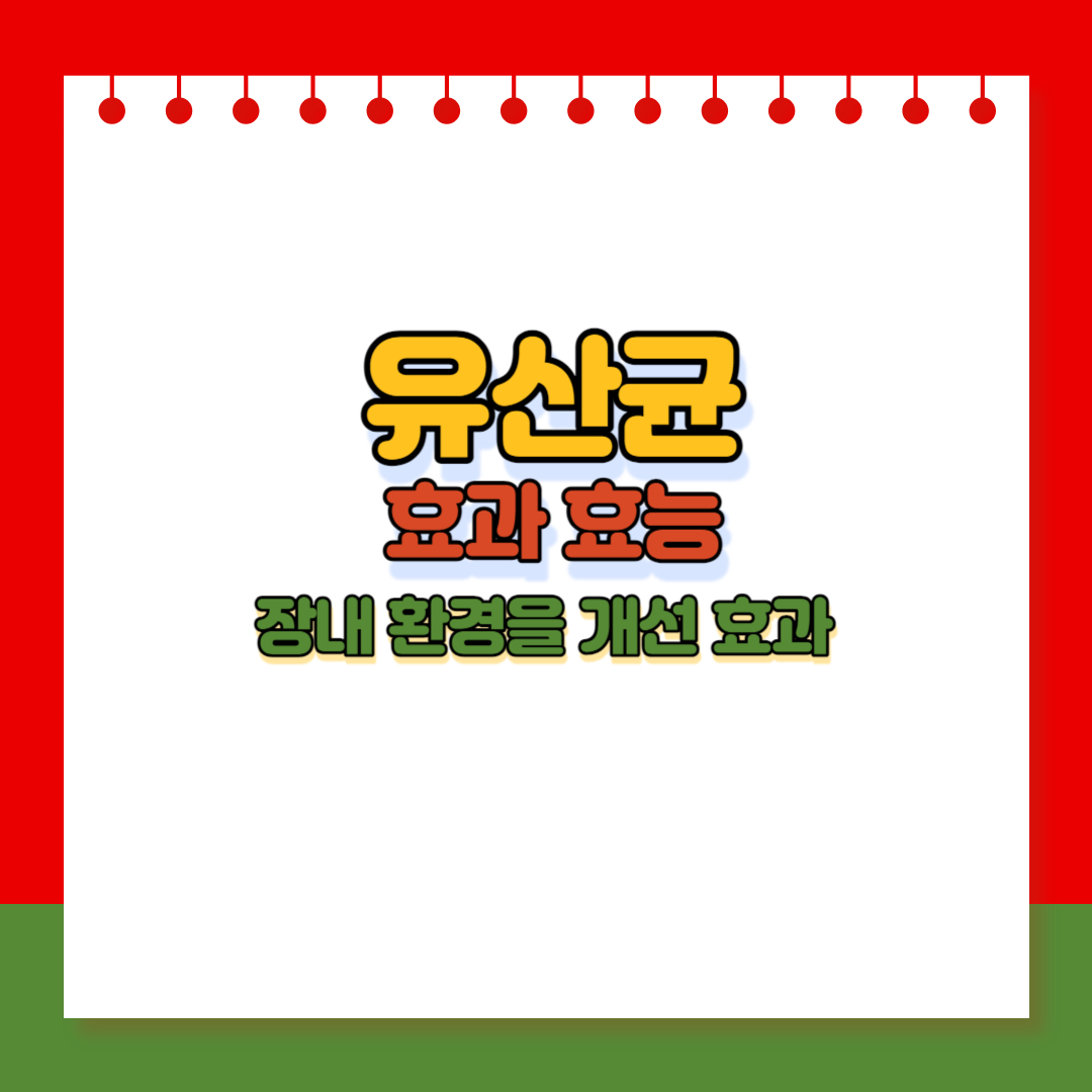 유산균 효과 효능