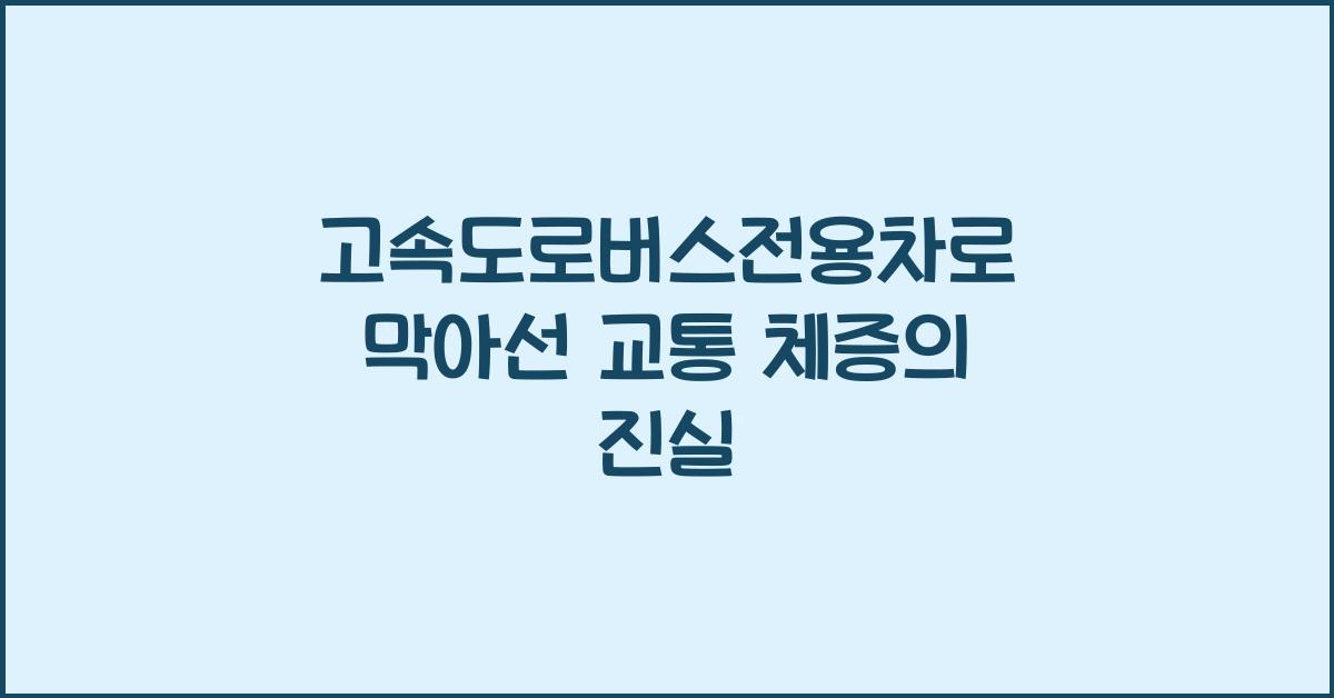 고속도로버스전용차로벌금