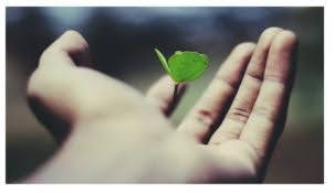 퇴직금 irp계좌 개설