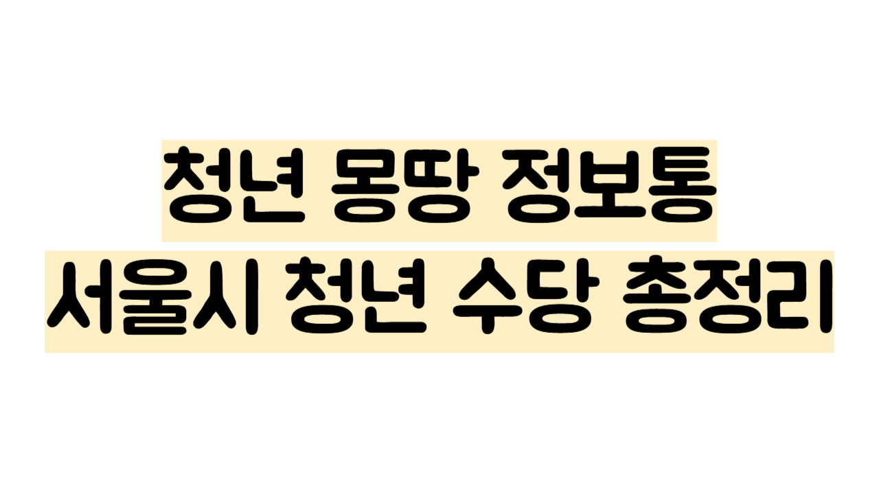 서울시 청년 수당
