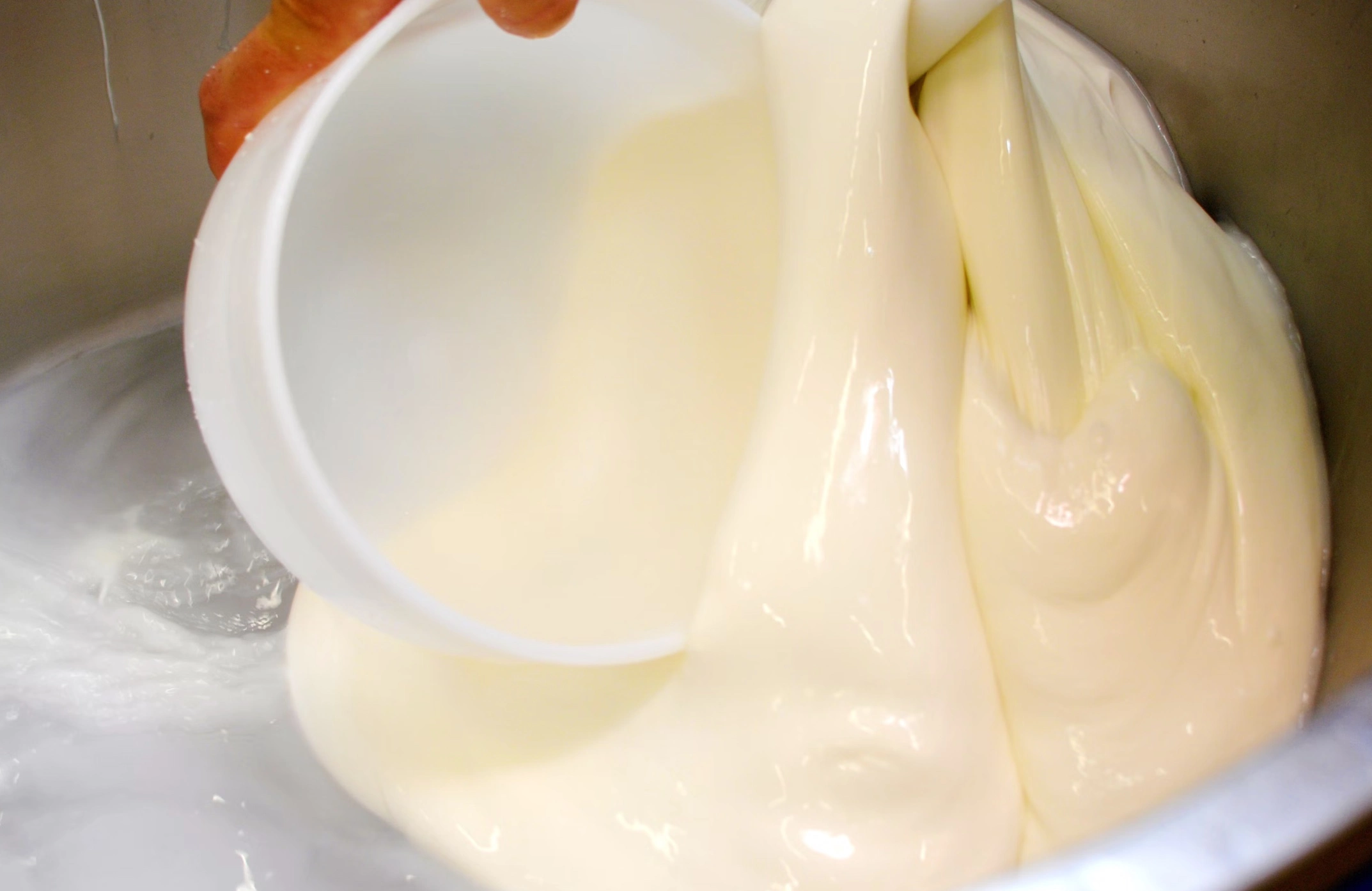 모짜렐라치즈 효능