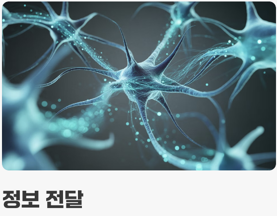 두뇌에 활력을&#44; &#39;DHA&#39;의 힘