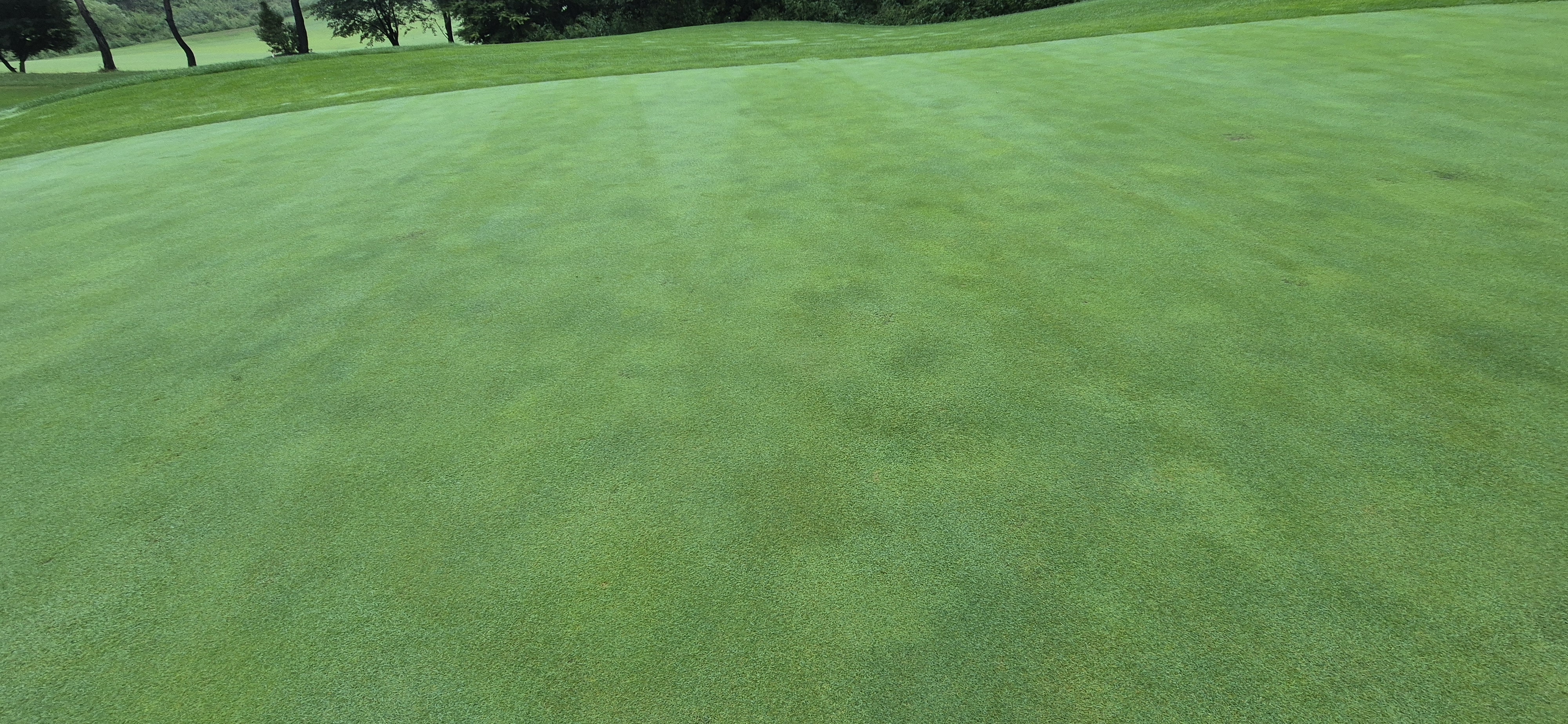 더플레이어스cc