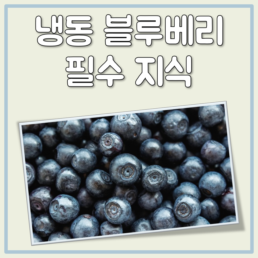 냉동블루베리 효능 및 부작용 그리고 제대로 먹는법 대표 이미지