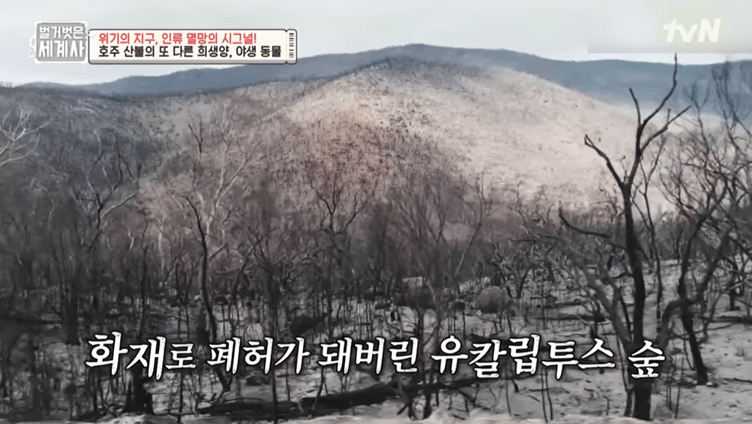 지구온난화_호주산불