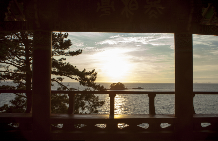 마량리 동백나무 숲 해돋이