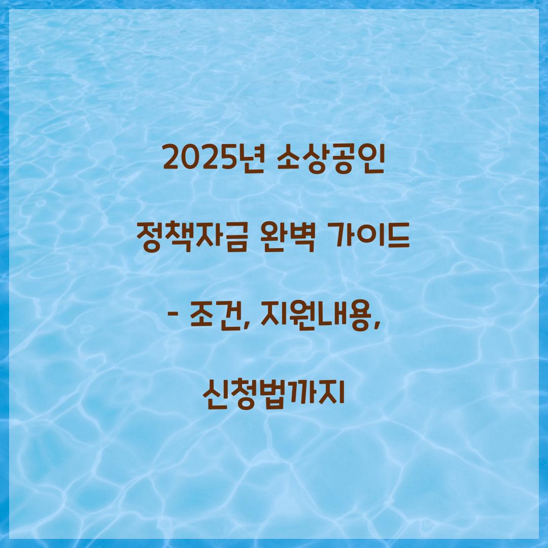 2025년 소상공인 정책자금
