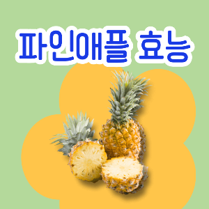파인애플 효능