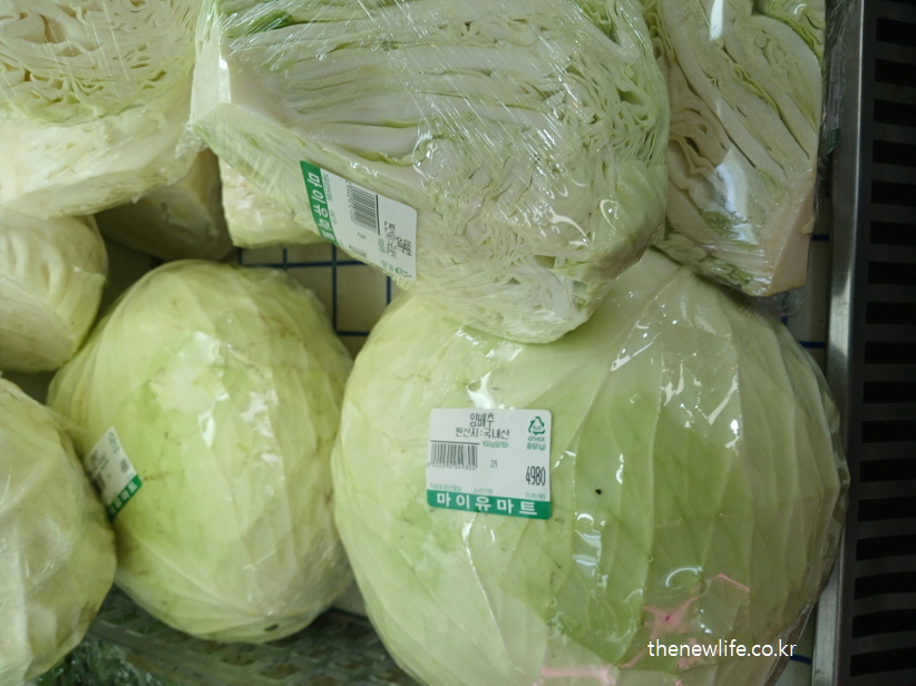 신선한 양배추 / 밀가루 끊기 효과 – 건강하게 대체할 수 있는 식품들