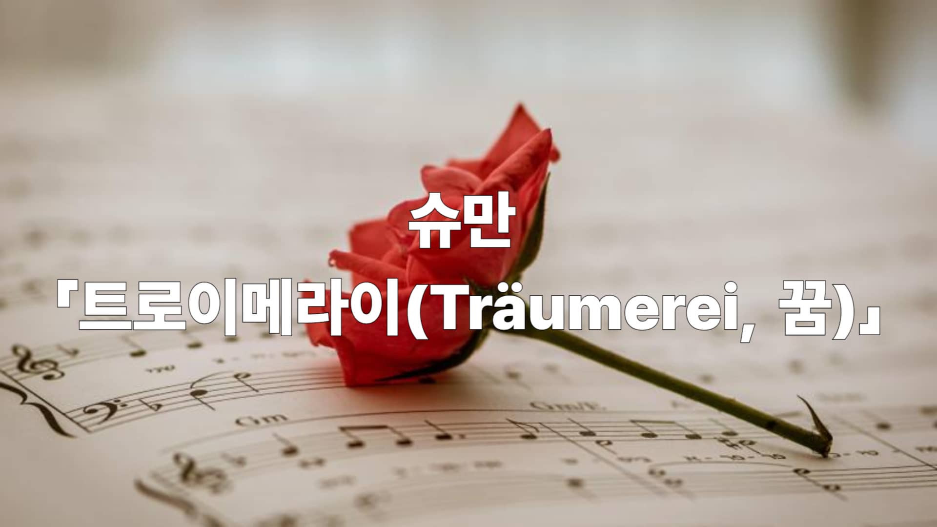 슈만 「트로이메라이」