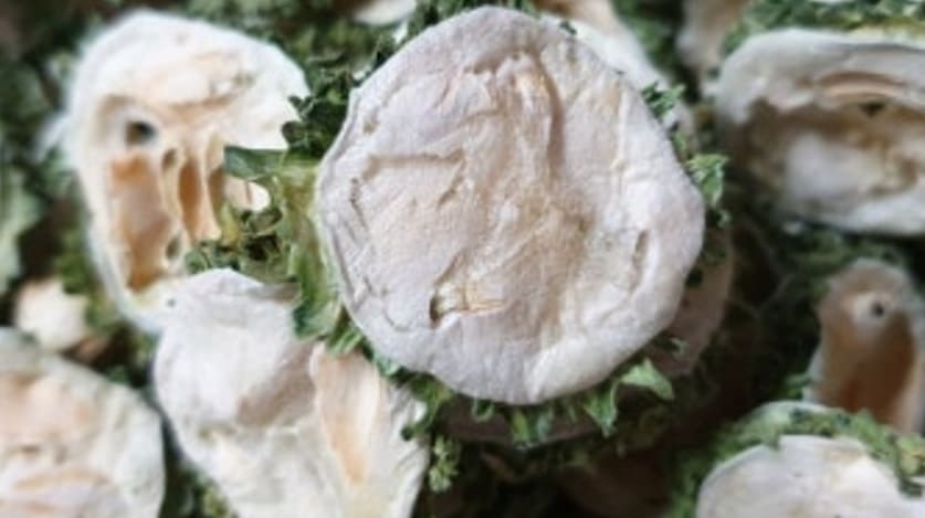 건여주 효능의 여주2