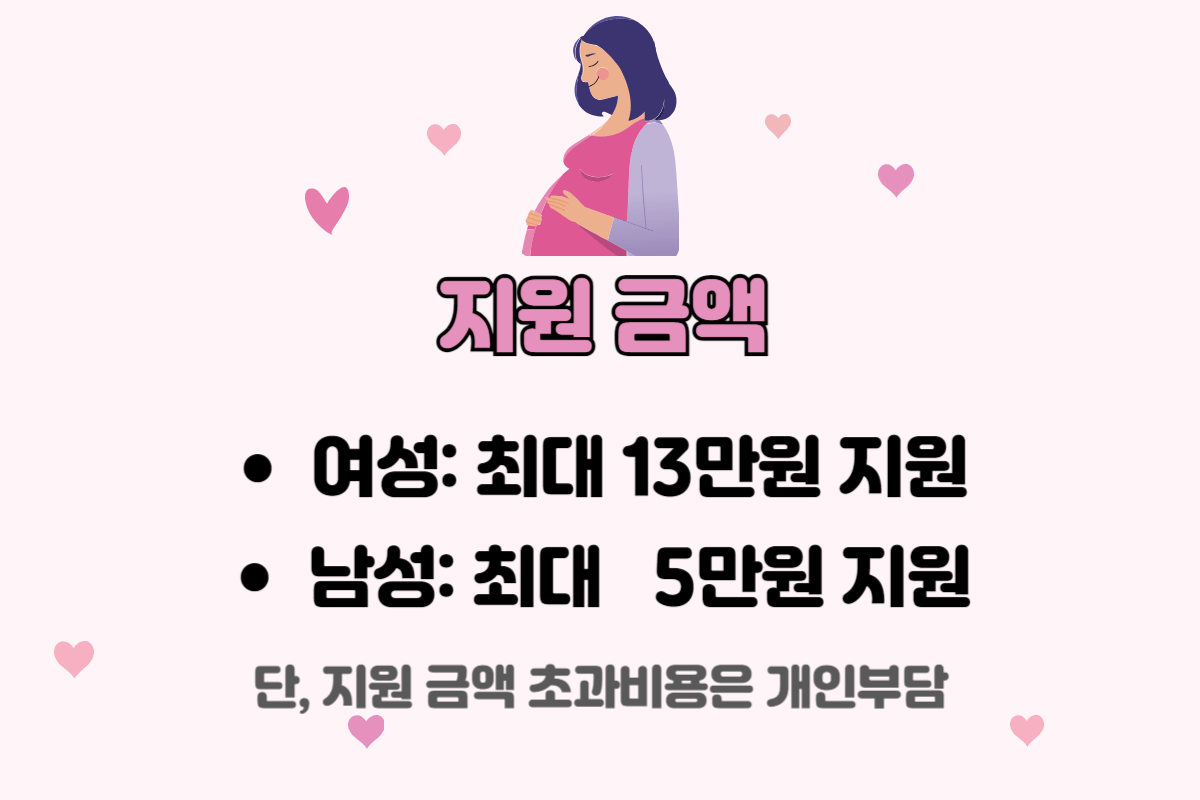 임신 사전건강관리 지원사업, 임신 사전건강관리 지원금액, 임신 사전건강관리 신청방법, 임신 사전건강관리 신청서류, 가임력 검사 지원금액, 가임력 검사, 가임력 검사 신청방법