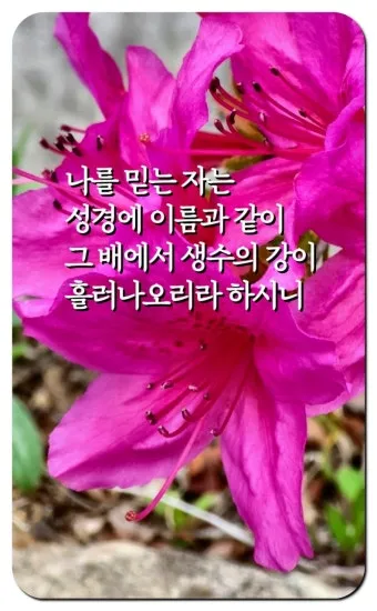 요한복음 7장 설교 아이디어 성경 강해 말씀_6