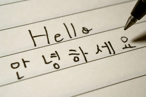 한국어교원 3급 2급