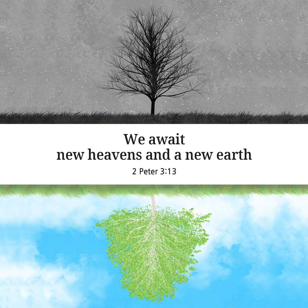 We await new heavens and a new earth. (2 Peter 3:13)