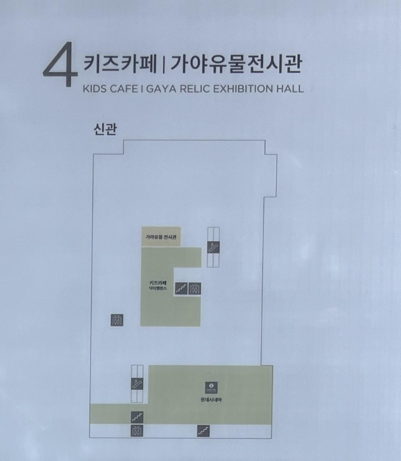 닥터밸런스