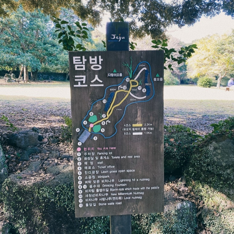 비자림 탐방 코스 사진