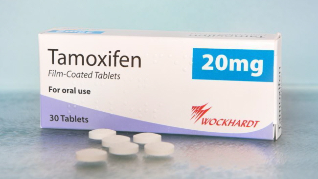 호르몬수용체 차단 약품: 타목시펜 약 사진