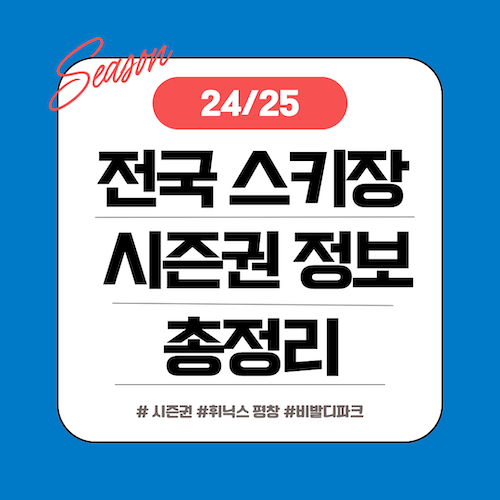 스키장 시즌권