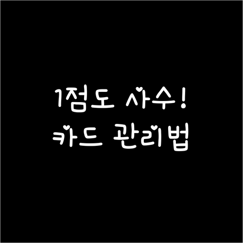 1포인트도 놓치지 않는 신용카드 포인..