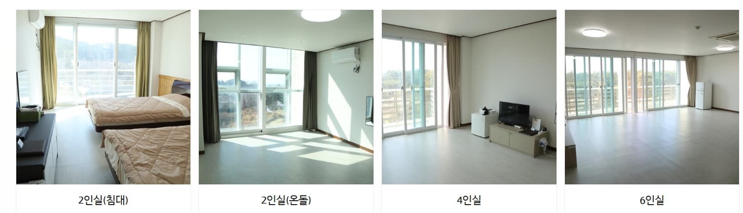 천리포수목원 목련축제｜비공개 정원 개방, 숙박, 온라인예약 팁까지!