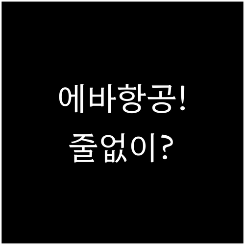 에바항공 체크인 공항 카운터 줄 없이..
