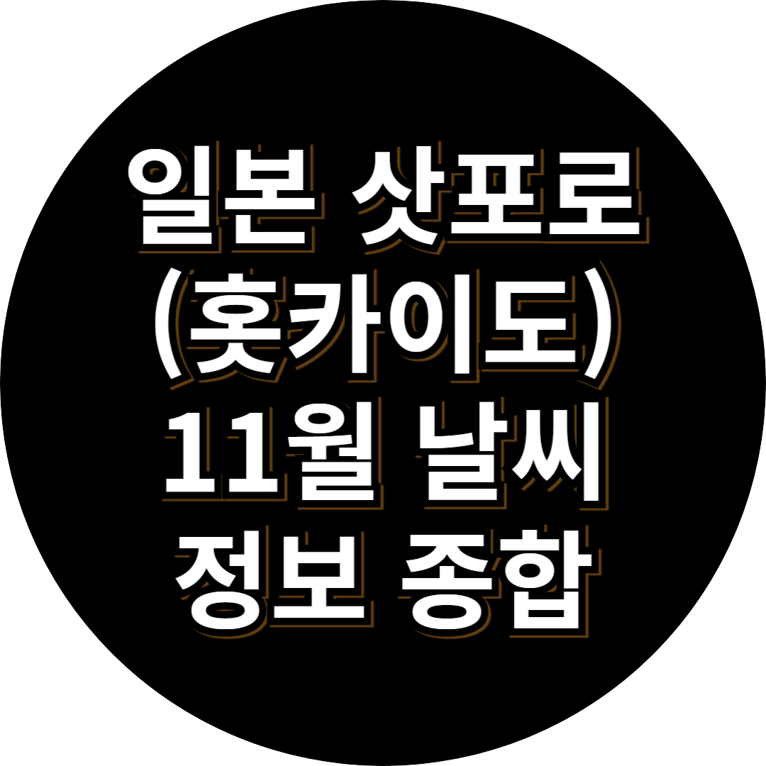 일본 삿포로 11월 날씨