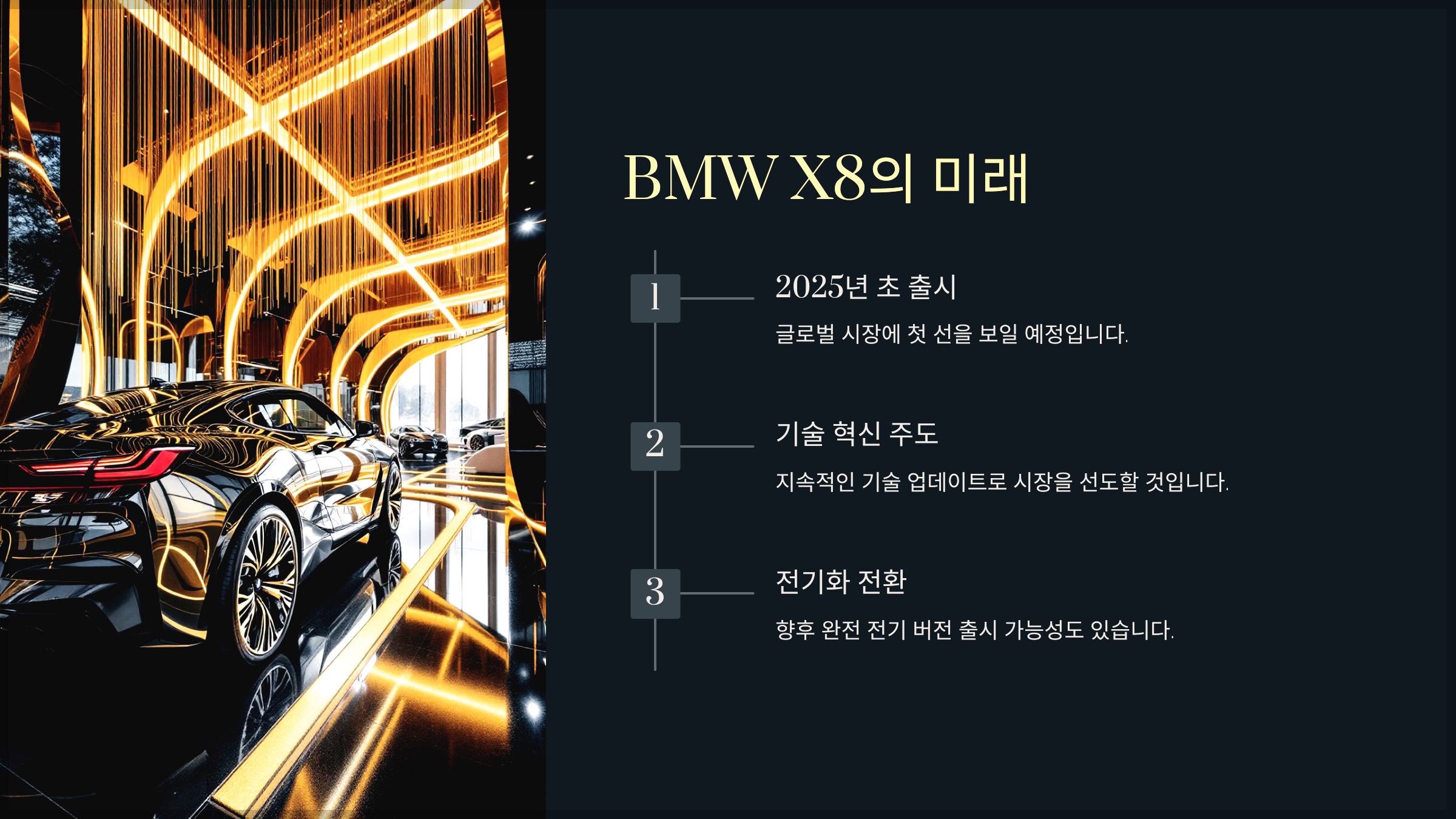 BMW X8의 미래