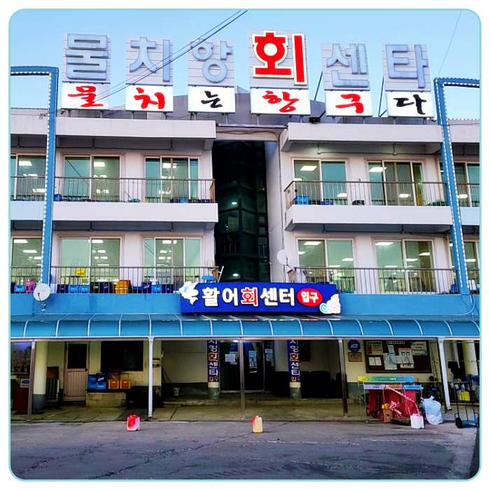양양-회포장-물치항-회센터