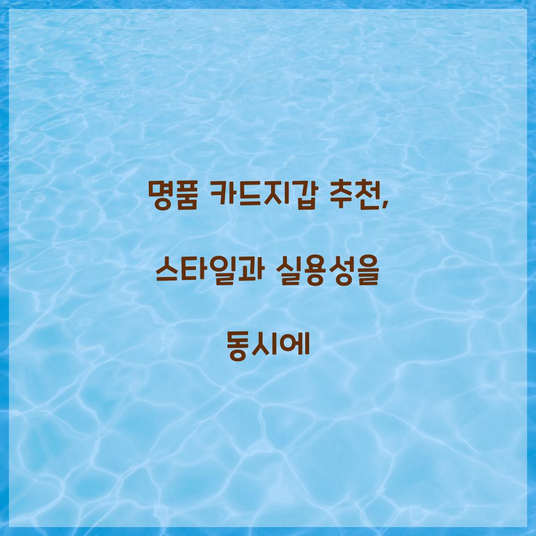 명품 카드지갑 추천