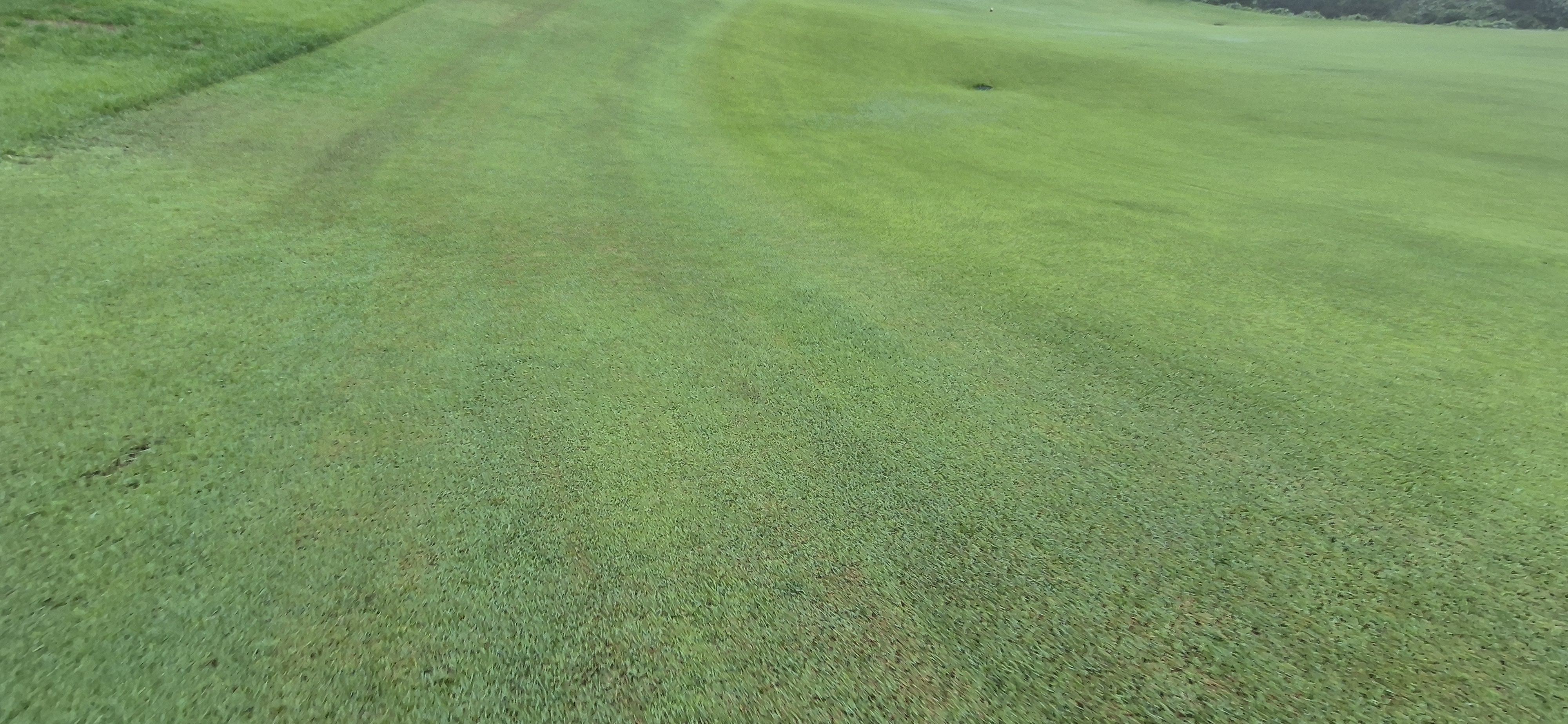 더플레이어스cc