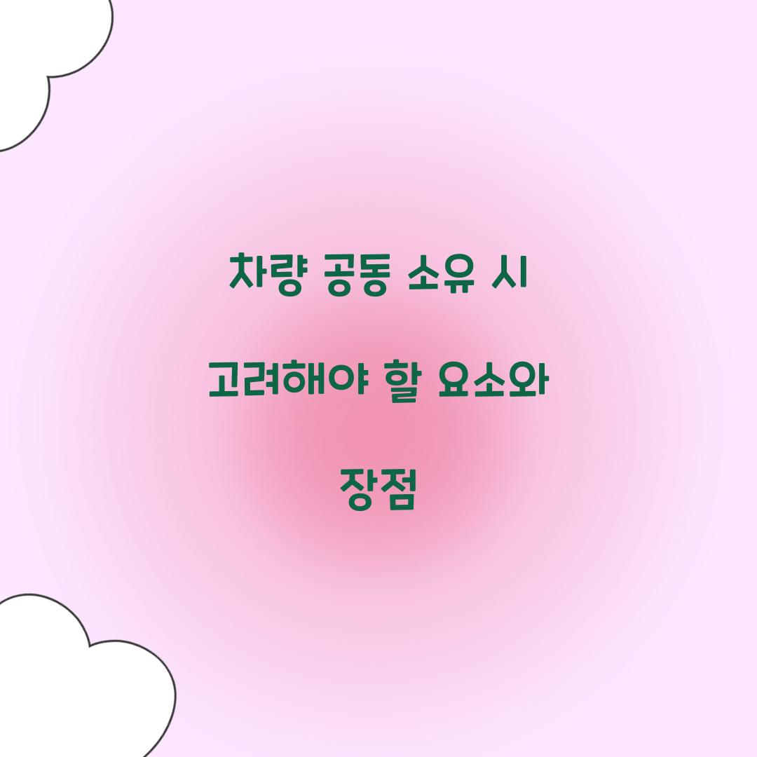 차량 공동 소유