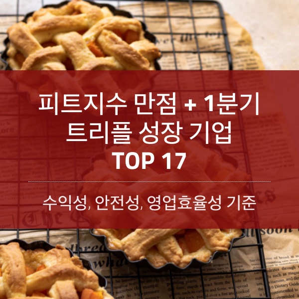 [2023] 피트지수 만점 + 1분기 트리플 성장 기업 TOP 17