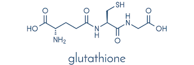 글루타치온