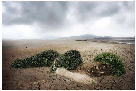 탄소중립포인트