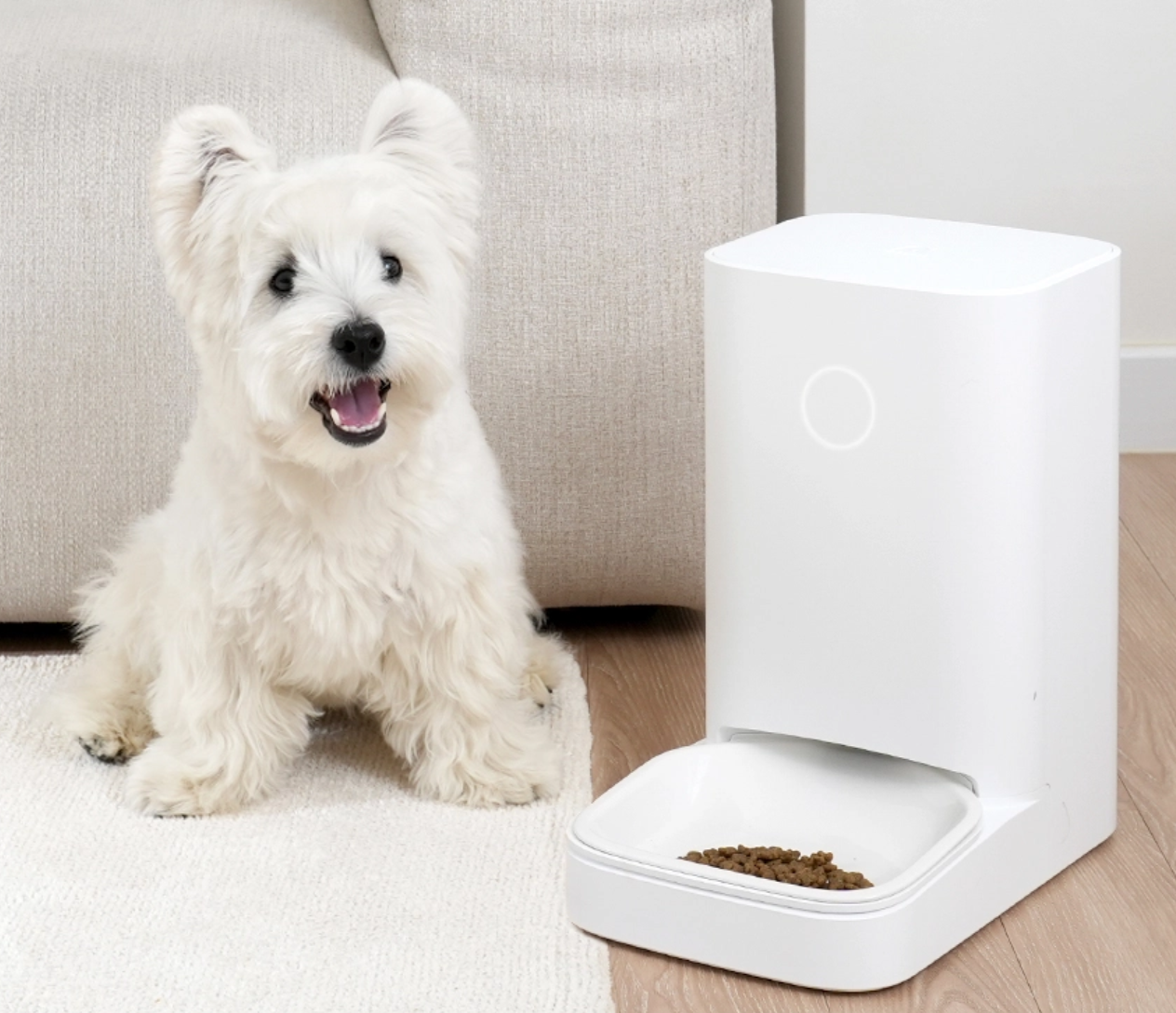 강아지 자동 급식기란?
