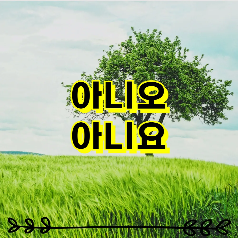 아니오 아니요 맞춤법 이렇게 쓰세요